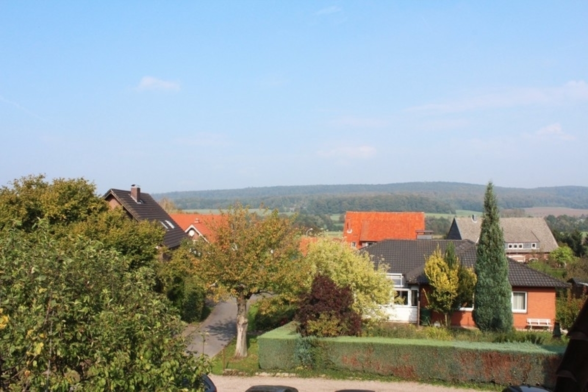 Ausblick