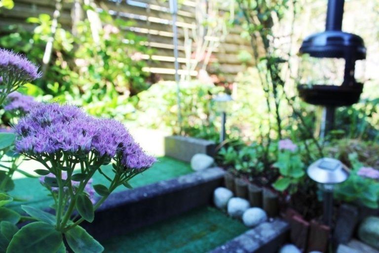Garten4