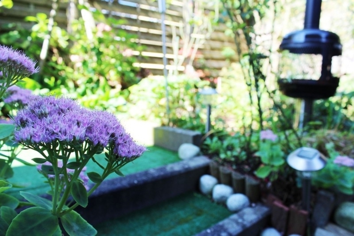 Garten4