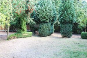 Garten2 Rommelmann Immobilien Minden