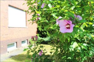 Garten1 Rommelmann Immobilien Minden