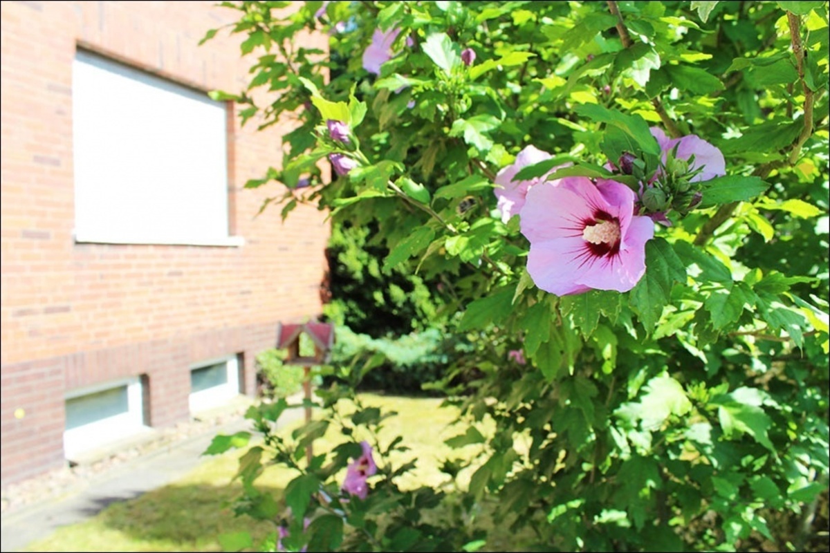 Garten1 Rommelmann Immobilien Minden