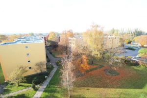 Bärenkämpen1 Rommelmann Immobilien Minden