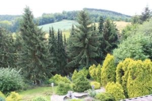 Fernsicht