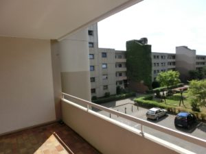 CIMG0194