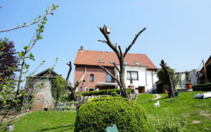 Hinteransicht