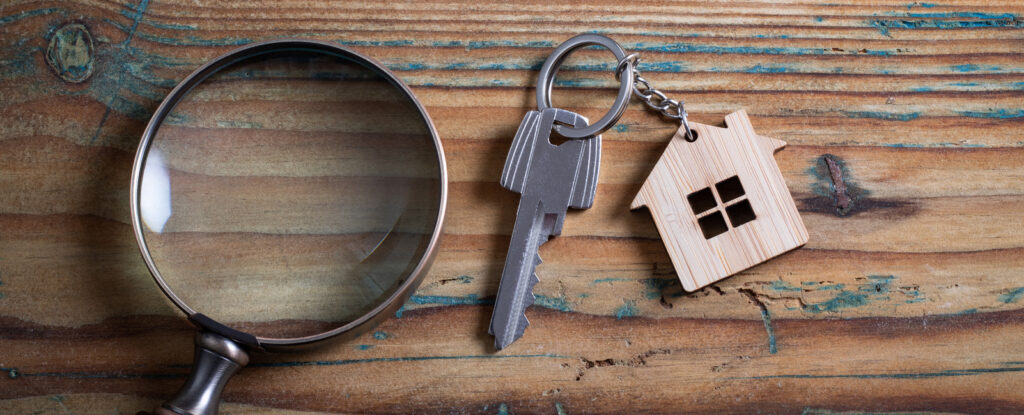 Suchauftrag Rommelmann Immobilien